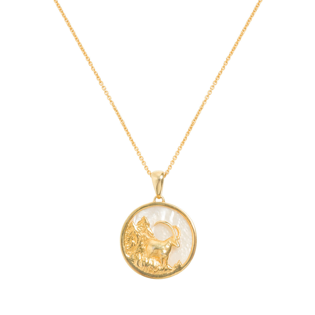 Freya Rose  - Capricorn, Gold Zodiac Charm